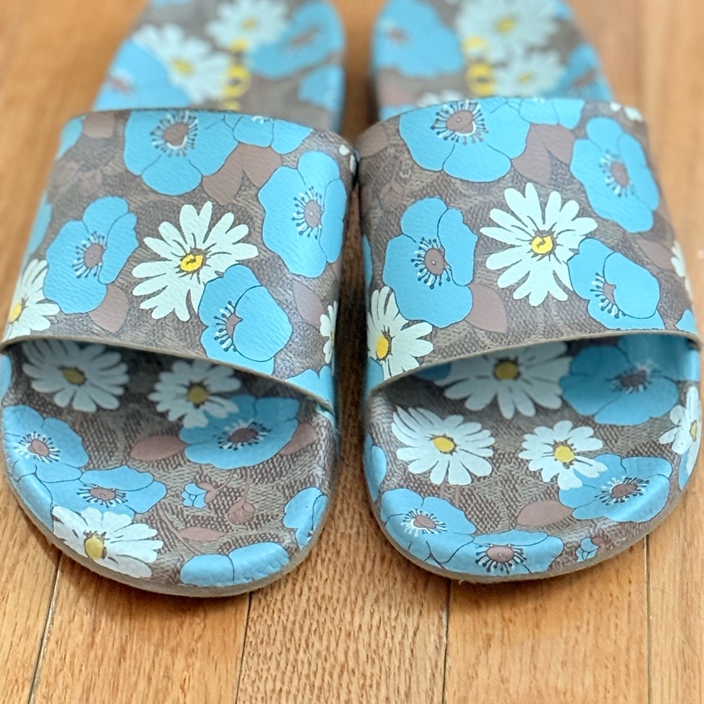 Coach Blue and Brown Casual Sandals